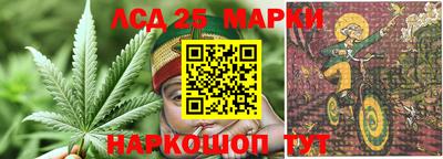 гидропоника Пенза