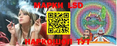 гидропоника Пенза