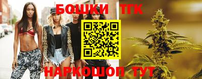 гидропоника Пенза
