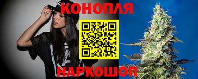 гидропоника Пенза