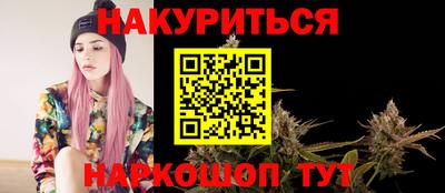 гидропоника Пенза