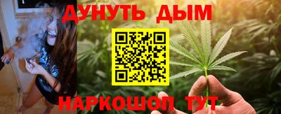 гидропоника Пенза