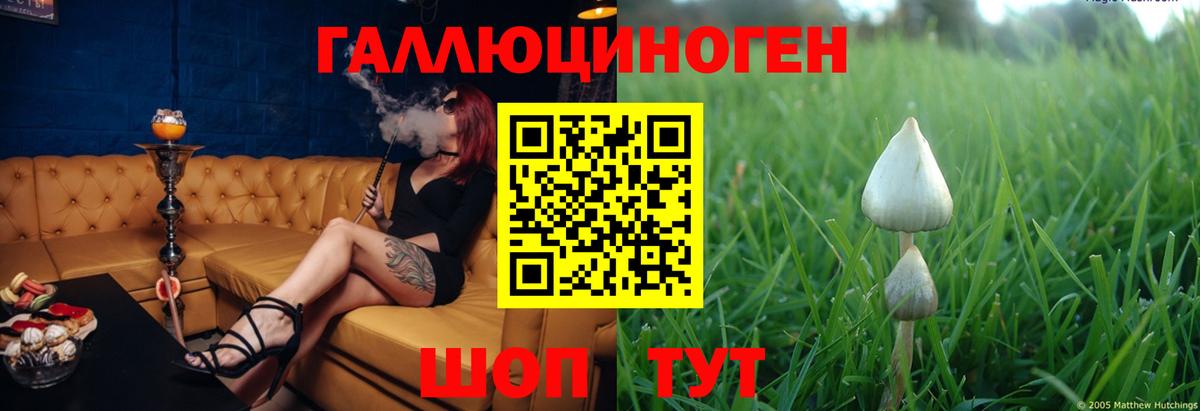 Прокопьевск  Псилоцибиновые грибы Psilocybine cubensis  Вход с VPN 